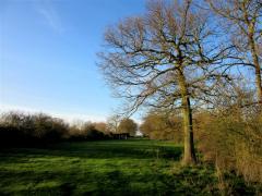 1601 IMG 1896