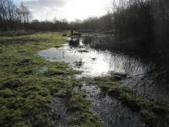 Overflowing pond