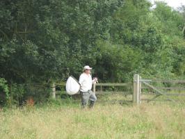 1408 catching planthoppers