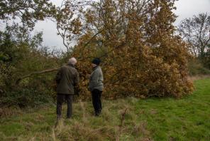 1401 guardians surveying the storm damage