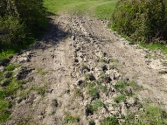 muddy hoofprints P1000721