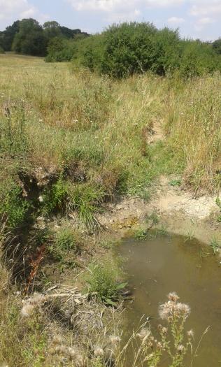 River pool Aug 2018