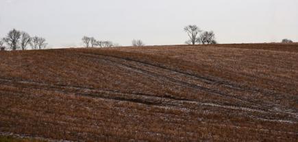 1401 frozen field