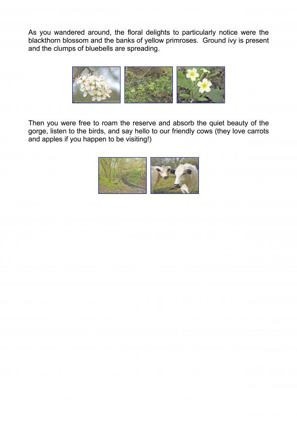 1704 Open Day report FV p2