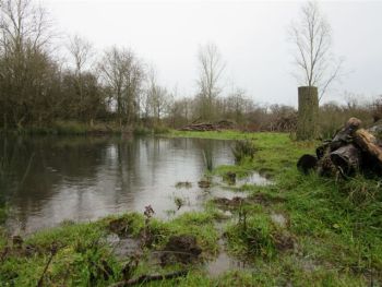 From the water meadow, Jan-Mar 2015