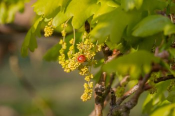 Dry news, July to October 2016