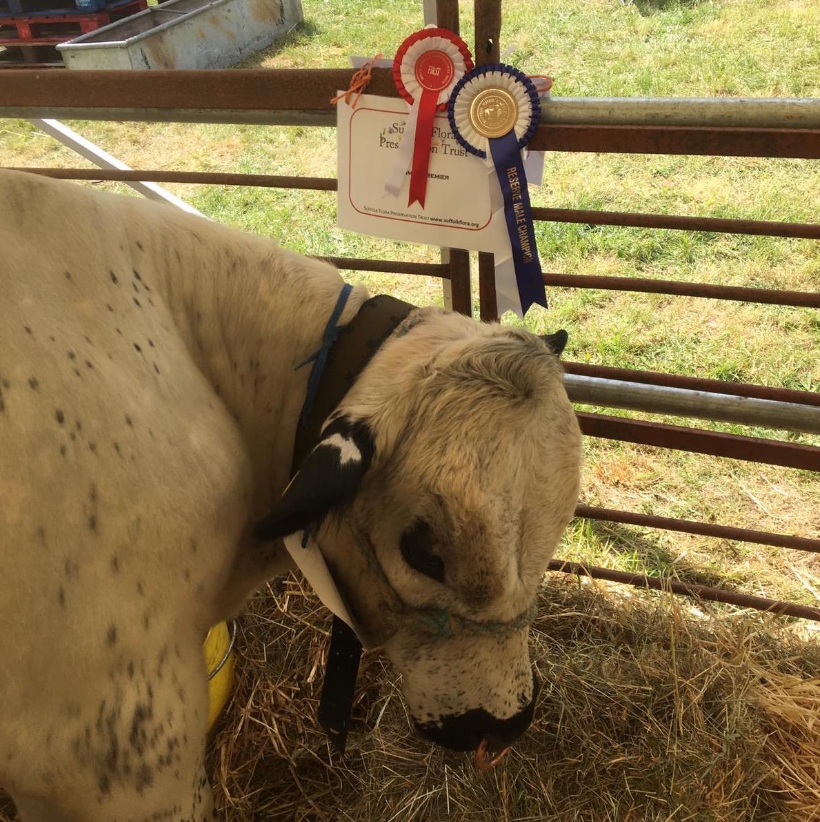 A Prize-winner and a birth!