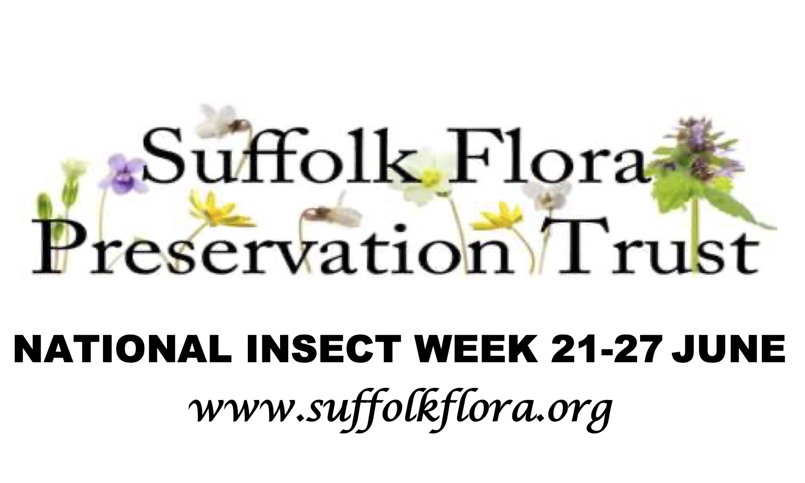 Insect Week, Mon 21st to Sun 27th June