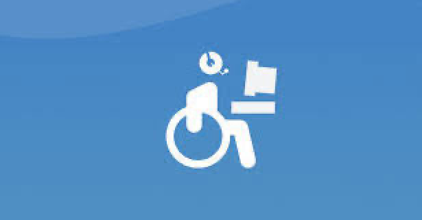 Accessibility to the website